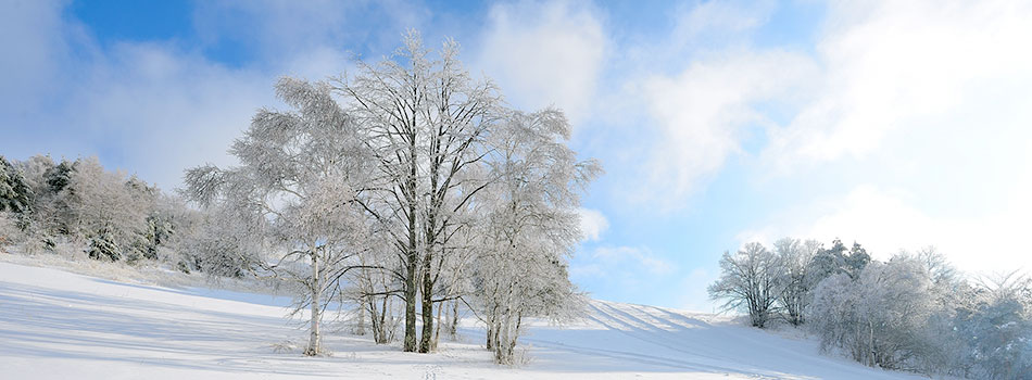 冬景色の写真画像